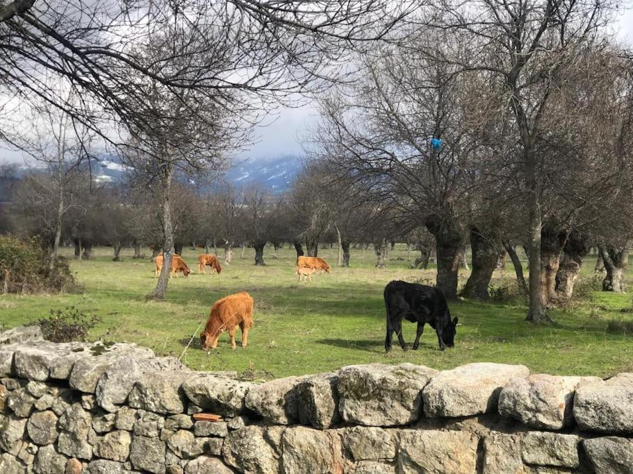 Guadarrama, Atico Nuevo Con Espectaculares Vistas Daire Dış mekan fotoğraf